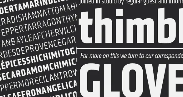 The typeface Klavika Condensed